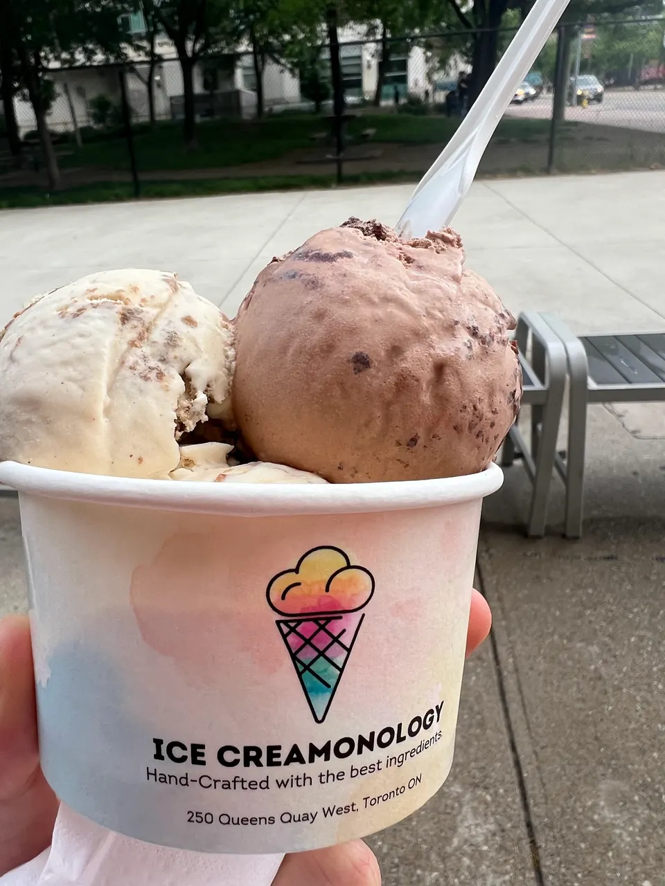 A hand holding a paper cup from Ice Creamonology filled with two large scoops of ice cream, one light vanilla with swirls and one chocolate, with a white plastic spoon inserted.