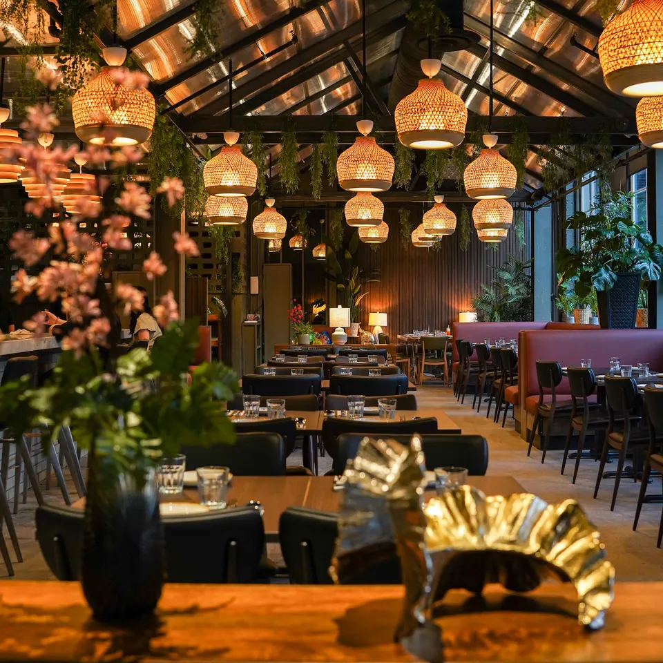 An elegant restaurant dining room with a glass greenhouse-style roof, warm woven pendant lights, dark wooden tables, and plush leather chairs, decorated with lush green plants.