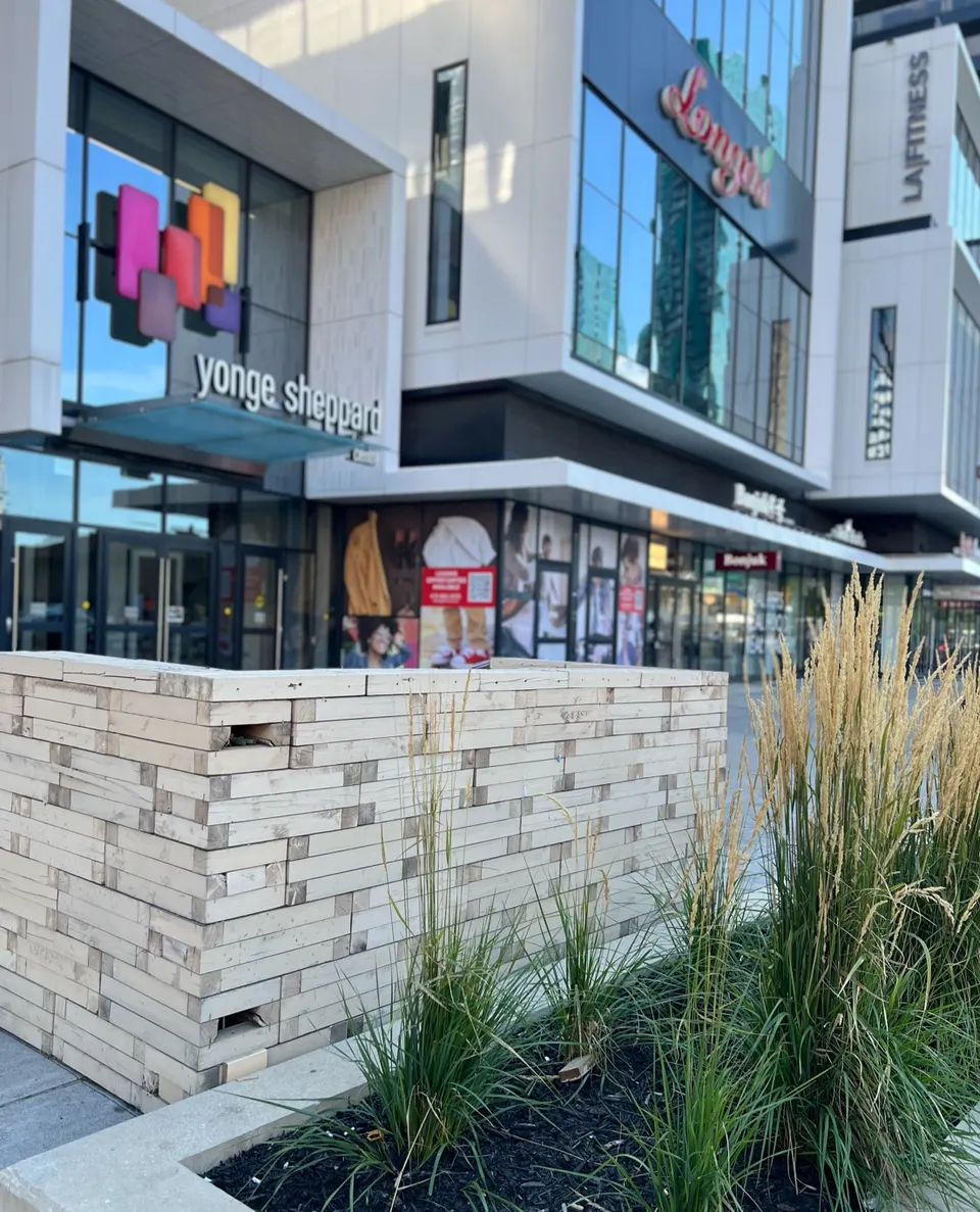 Exterior view of the Yonge Sheppard Centre entrance featuring modern architecture, a stone planter with ornamental grasses, and storefronts in the background.