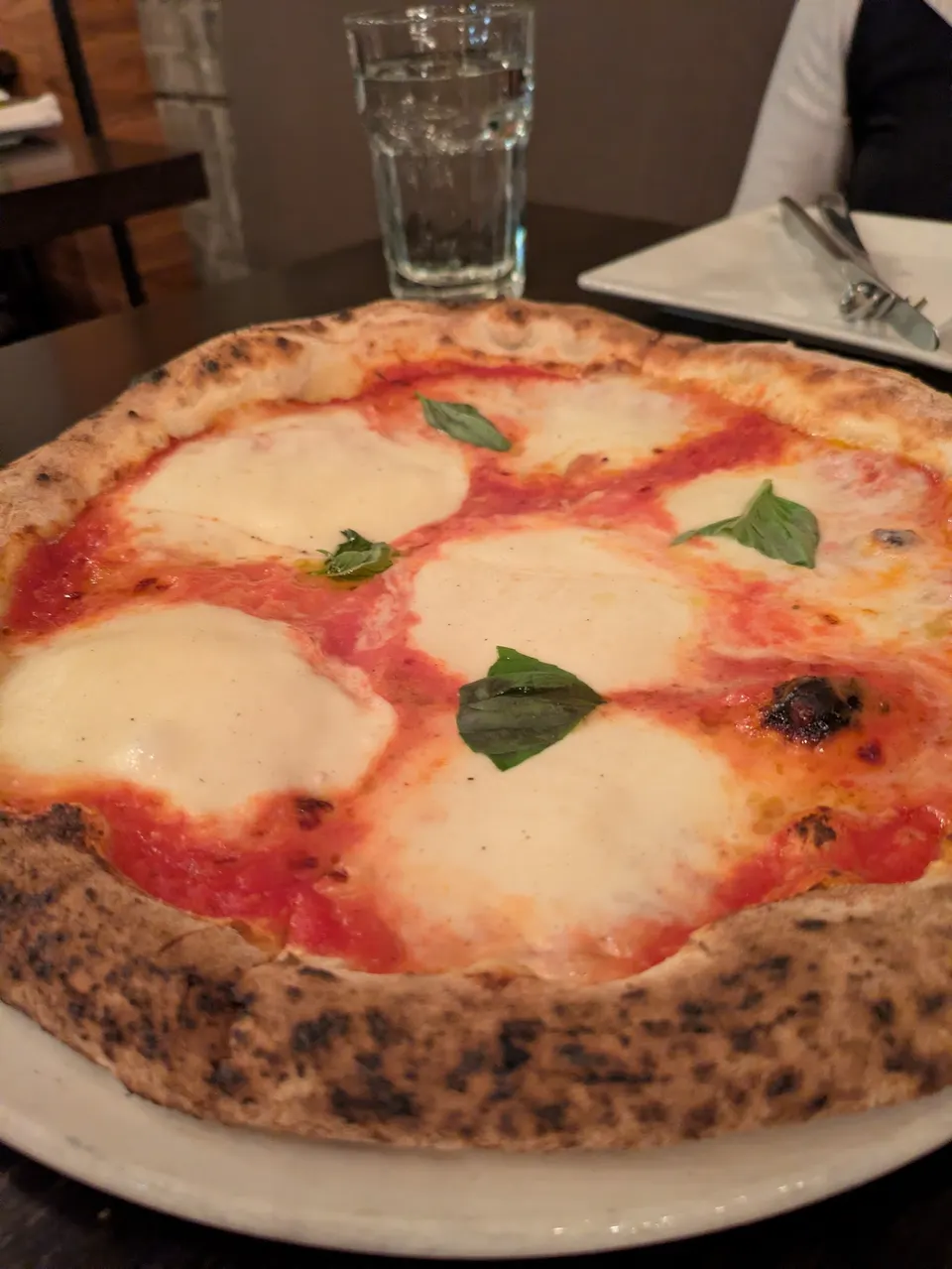 A freshly baked Neapolitan Margherita pizza with a charred crust, tomato sauce, large melted mozzarella slices, and fresh basil leaves, served on a white plate.