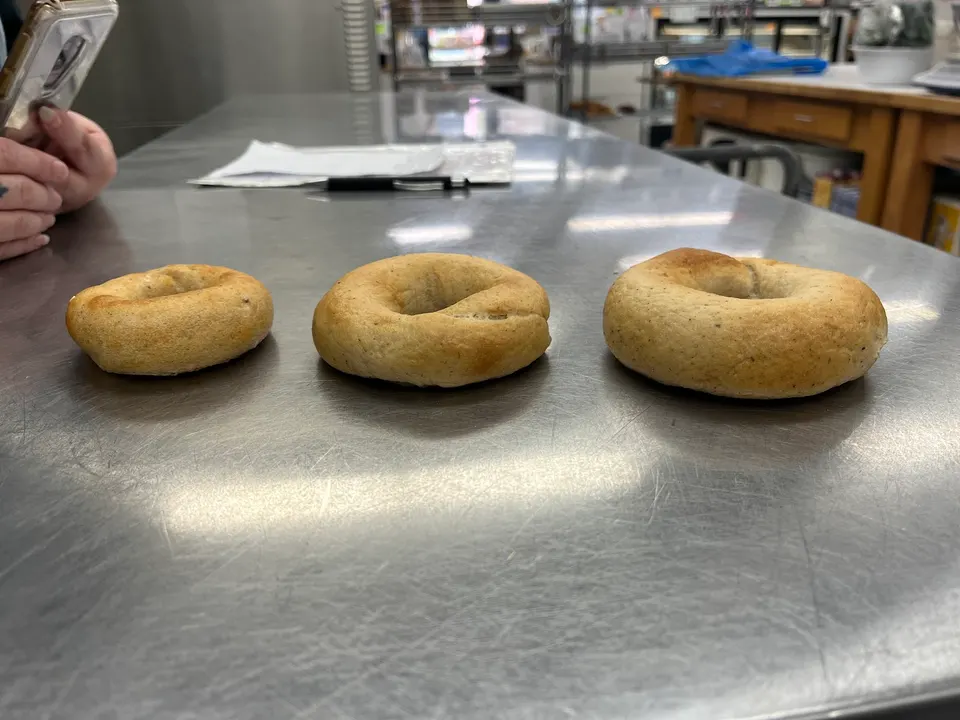 Three freshly baked plain bagels of slightly different sizes lined up on a stainless steel bakery counter.