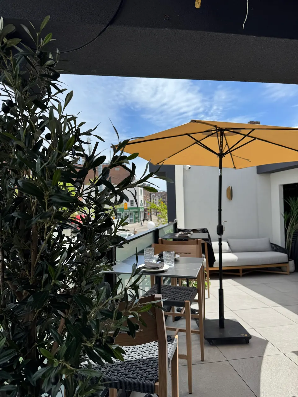 A sunny rooftop patio at Osteria Alba with outdoor dining tables, woven chairs, a large yellow umbrella, and a potted olive tree in the foreground.