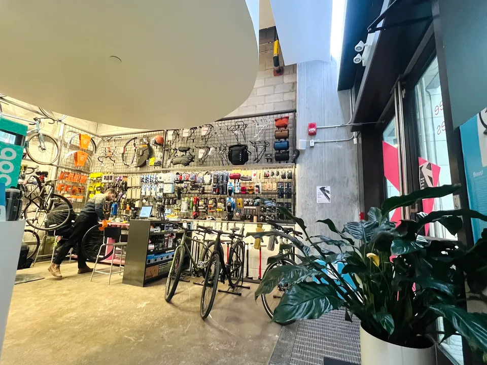 Interior of a bike shop and repair area with bicycles on display, accessories on a pegboard wall, a service counter, and a large green potted plant in the foreground.