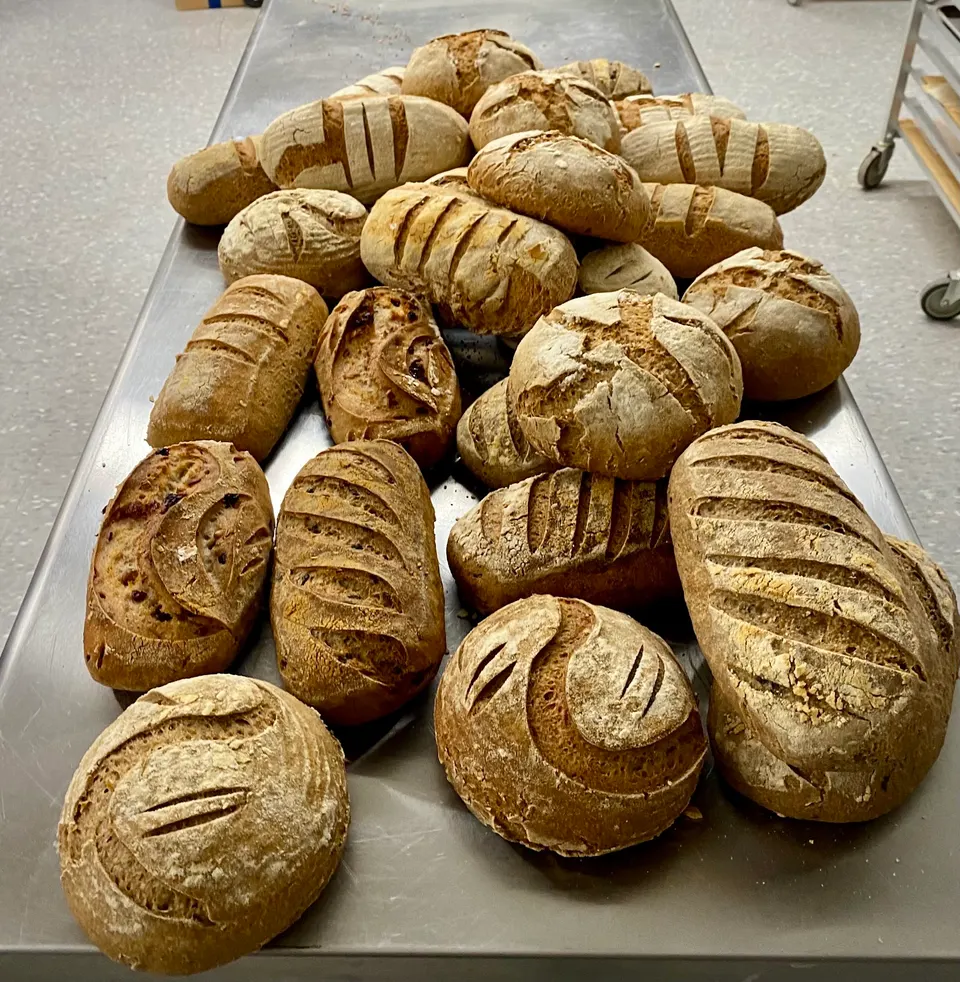 A large collection of freshly baked, rustic sourdough bread loaves with various scoring patterns piled on a stainless steel bakery table.