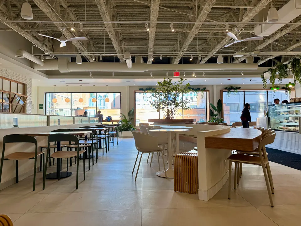 Spacious and modern interior of Cafe Forêt featuring light wood tables, minimalist chairs, a curved banquette, indoor plants, and large windows letting in natural light.