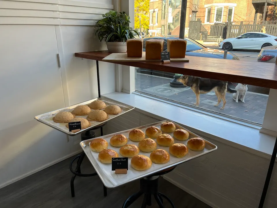 A bakery display featuring trays of freshly baked buns and loaves of bread on shelves near a window, with dogs visible outside on the sidewalk.