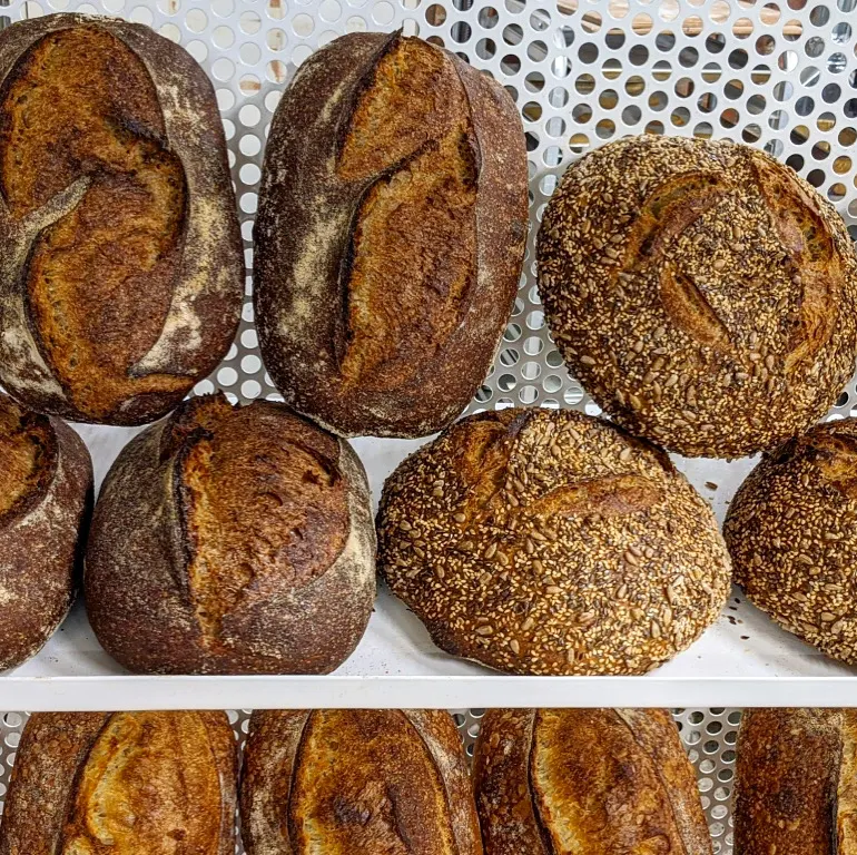 Freshly baked sourdough bread loaves arranged on shelves at Robinson Bread, featuring both plain and seed-crusted varieties.