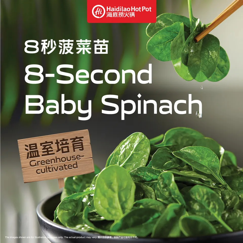 A promotional graphic for Haidilao Hot Pot featuring fresh green baby spinach leaves in a bowl and being held with chopsticks, with text reading '8-Second Baby Spinach' and 'Greenhouse-cultivated'.