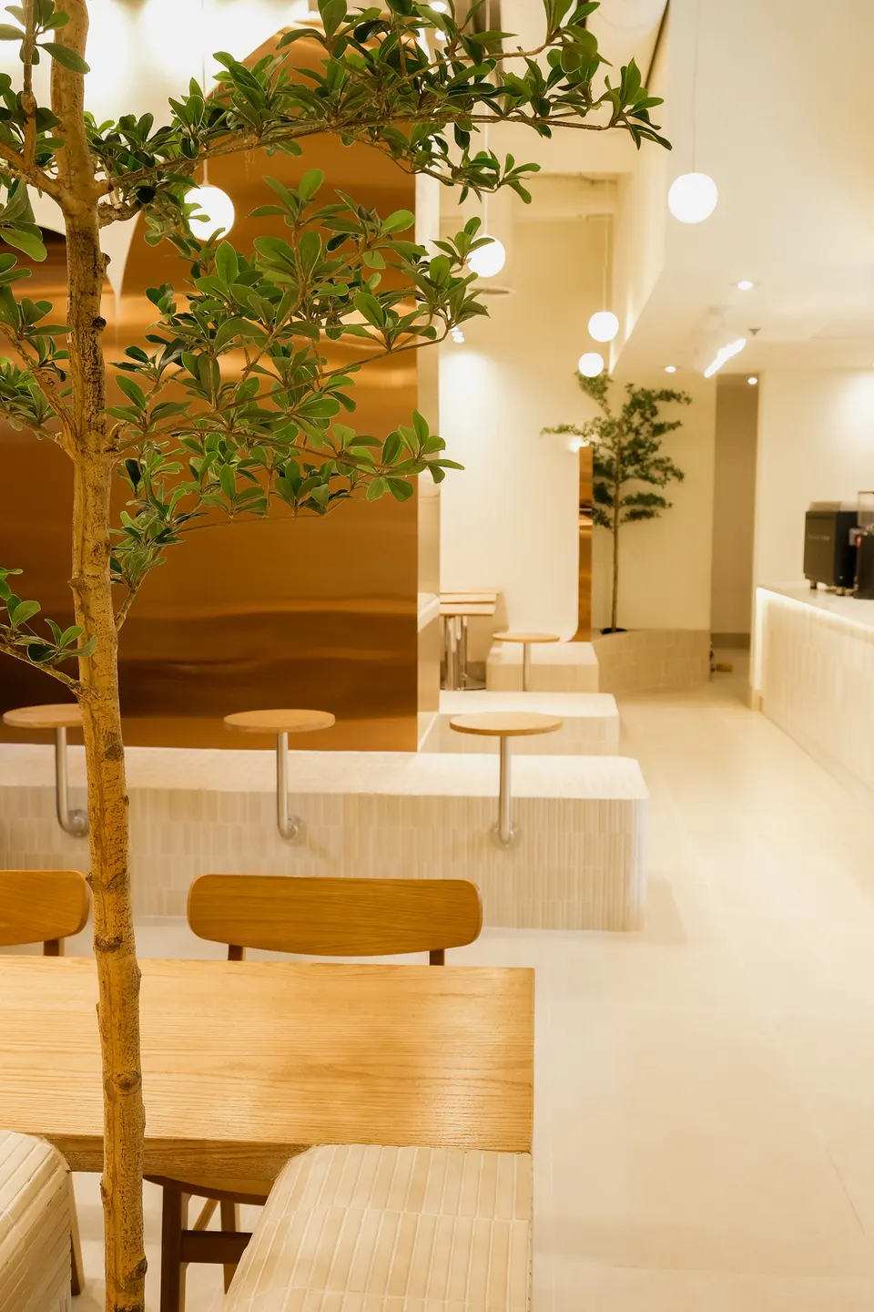 A modern cafe interior with light wood tables, built-in tiled bench seating, small round side tables, a copper-toned accent wall, and potted green trees under warm spherical pendant lights.