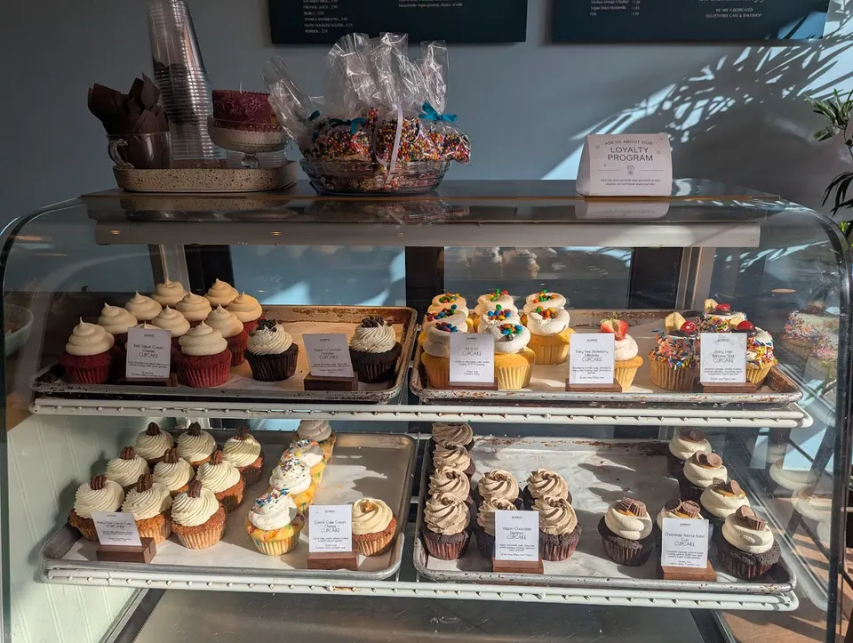 A glass bakery display case filled with two shelves of assorted cupcakes, including red velvet, chocolate, and vanilla with colorful sprinkles and toppings.