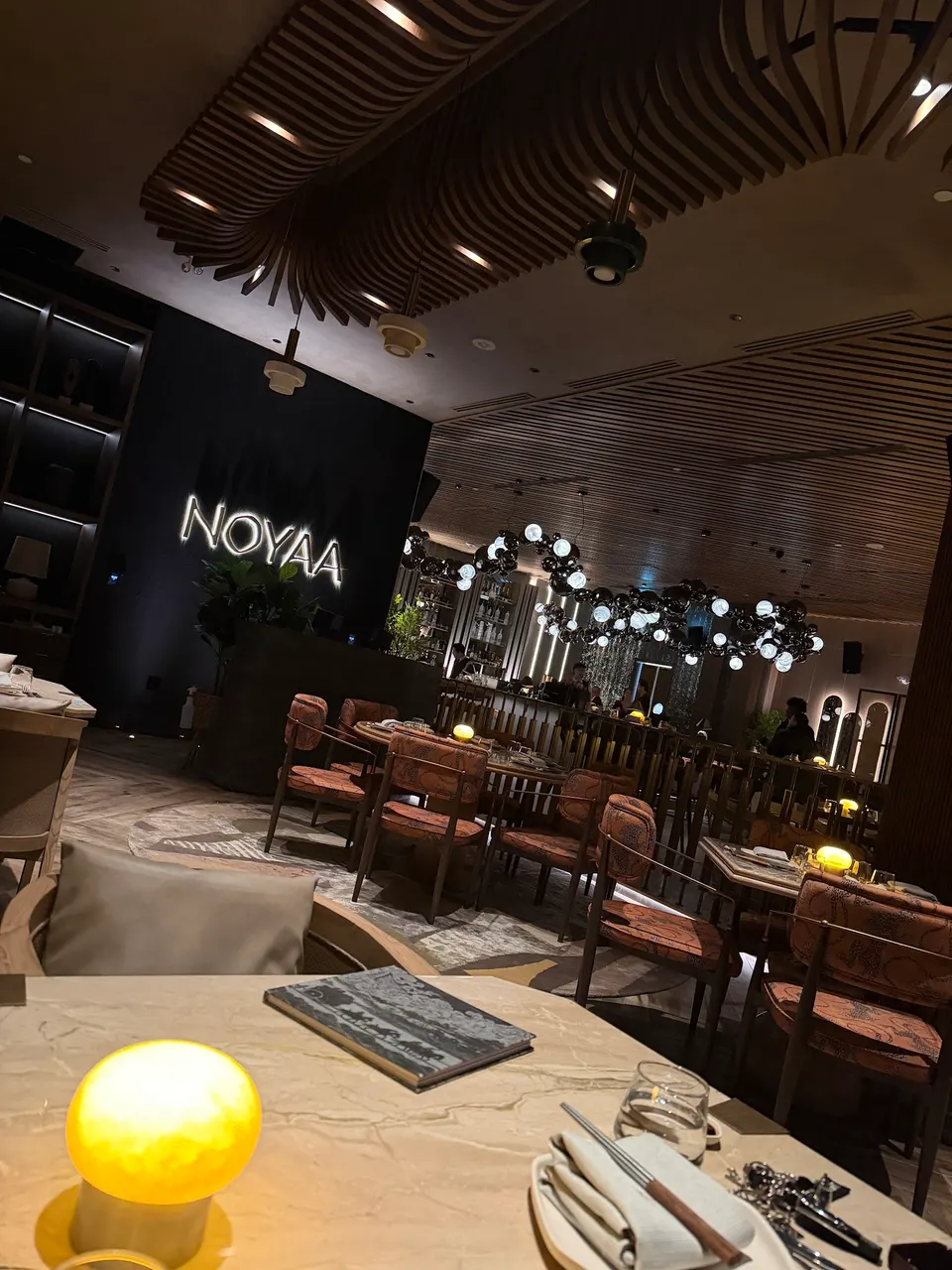 NOYAA photo 5